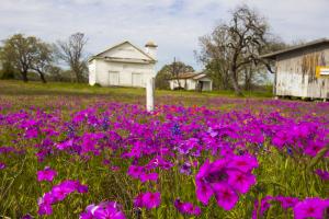 Capote Church - Seguin, TX